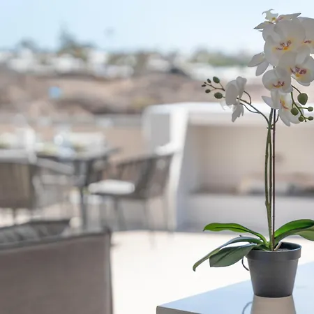 Lägenhet Loft Tenerife Sur *
